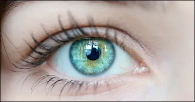 Comment te vois-tu dans le futur ?