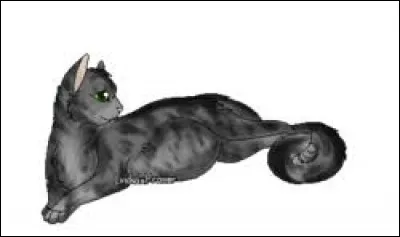 Qui donne son nom de guerrière à Fleur de Bruyère ? :