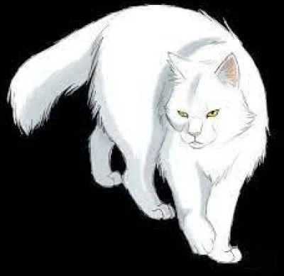 Quel est le nom anglais de Tornade Blanche ? :