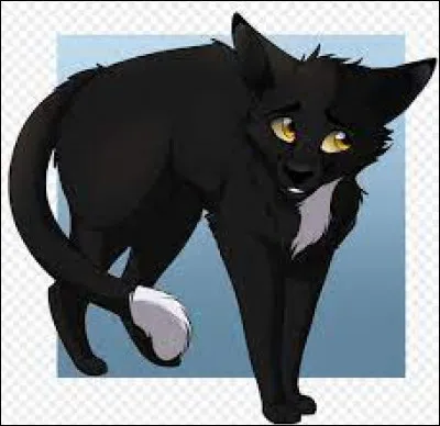 Quelle est la «vrai» traduction de Ravenpaw (Nuage de Jais) ? :