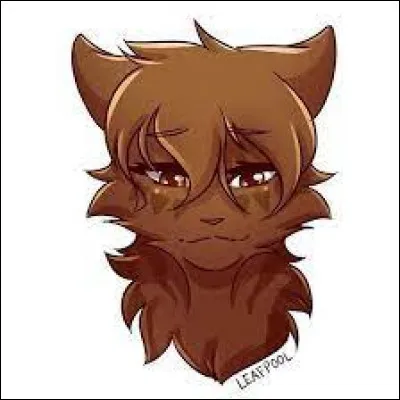 Quelle est la «vrai» traduction de Leafpool (Feuille de Lune) ? :