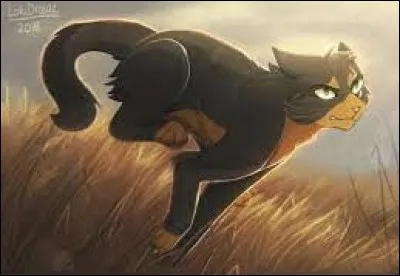 Quelle est la «vrai» traduction de Spiderleg (Patte dAraignée) ? :