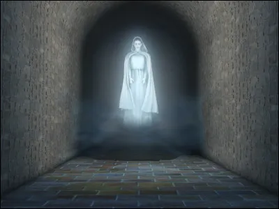 Qui a tué la Dame Grise ?