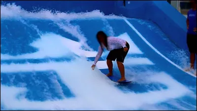 De quel genre de simulateur s'agit-il ?