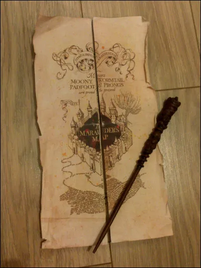 Dans quel ordre les Maraudeurs ont-ils créé leur carte ?