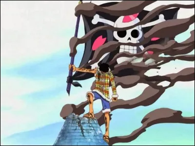 Que dit Luffy lorsque Wapol tente de détruire le drapeau du docteur Hiluluk ?