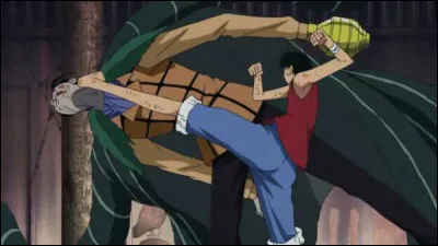 Dans l'ultime confrontation, Luffy touche Crocodile...