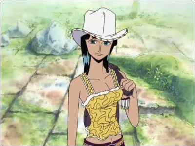 Robin rejoint l'équipage du Chapeau de Paille...