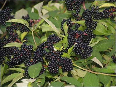 « L'espoir est la seule chose plus forte que la peur »