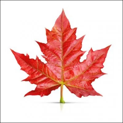 La tige de fer qui sert à remuer les substances que l'on calcine a pour nom...