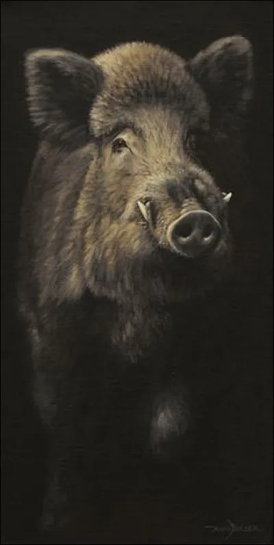 Comment dit-on "sanglier" en anglais ?