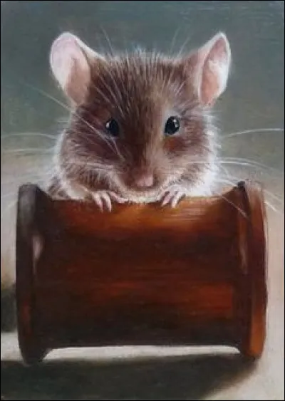 Comment dit-on "souris" en anglais ?