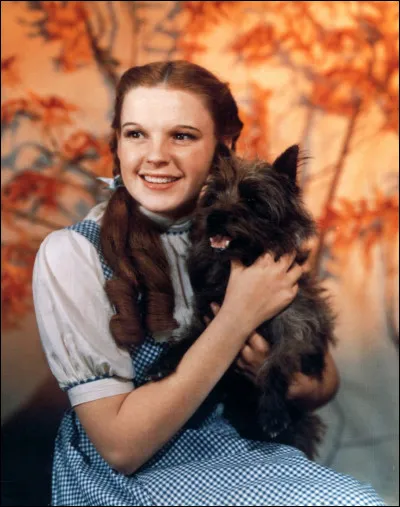 Quelle actrice incarne Dorothy Gale dans le film "Le Magicien d'Oz", sorti en 1939 ?