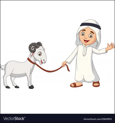 Maroquin : à quoi correspond-il ?