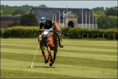 Dans le domaine des sports &eacute;questres, le polo se joue avec 2 &eacute;quipes constitu&eacute;es de :