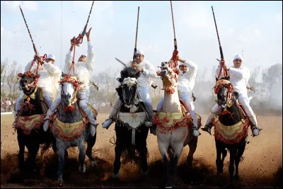 Quel roman de Joseph Kessel, paru en 1967, est consacr&eacute; aux Afghans des steppes ?