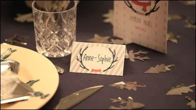 Un cavalier peut d&eacute;signer un papier ou un carton pli&eacute; en deux, servant par exemple de marque-place.