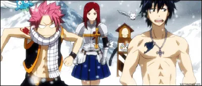 Quels sont les membres de la meilleure équipe de ''Fairy Tail'' ?