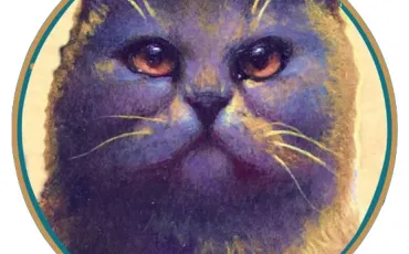 Quiz Erin hunter