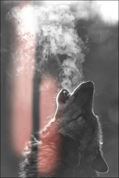 À qui, cette image évoquant un film ou un rôle, est-elle associée ?
 
(Plusieurs réponses possibles)