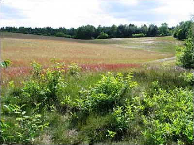 Quel est ce paysage ?