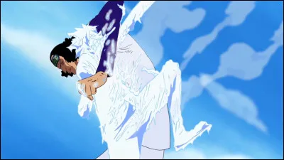 Aokiji vient mettre en garde l'équipage contre :