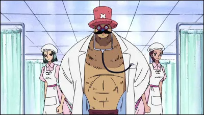 Lorsque l'équipage est "infiltré" dans la base, Luffy aide :