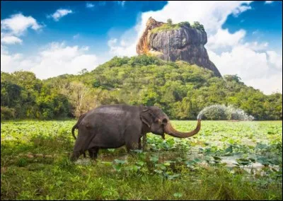 Le Sri Lanka fut d'abord connu sous le nom de Ceylan.