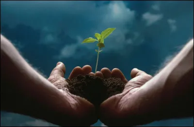 Dans le droit islamique, donations faites &agrave; perp&eacute;tuit&eacute; par un particulier &agrave; une �uvre d�utilit&eacute; publique, pieuse ou charitable :