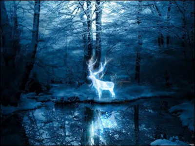 Quel est son patronus ?