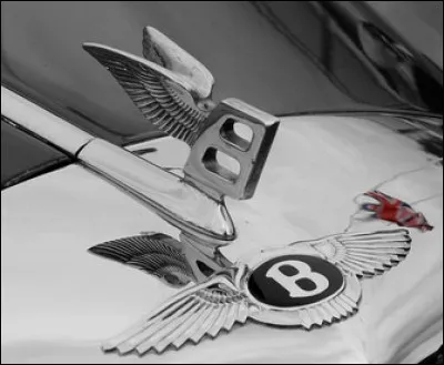 Cette lettre stylisée et ailée est le symbole de la marque ...