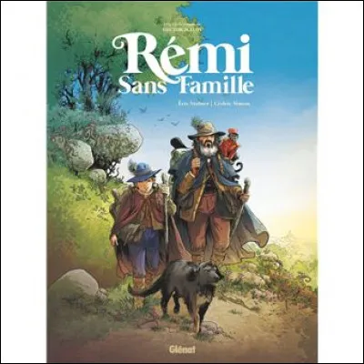 Mattia : dans le roman "Sans Famille", qui est Mattia pour Rémi ?