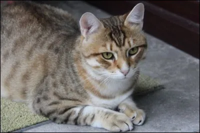 Qui sauve-t-il au cours de sa vie ?