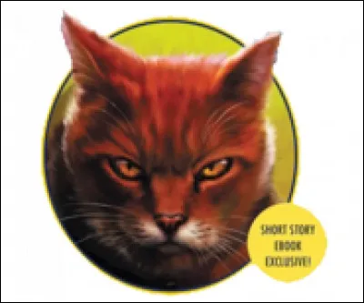 Que découvre-t-il au sujet d'Ombre d'Érable ?