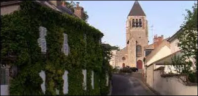 Dans quel département se situe la ville de Saint-Jean-de-Braye ?