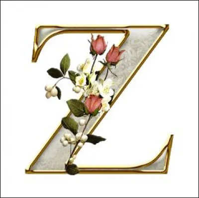 Quel est le symbole chimique du zinc ?