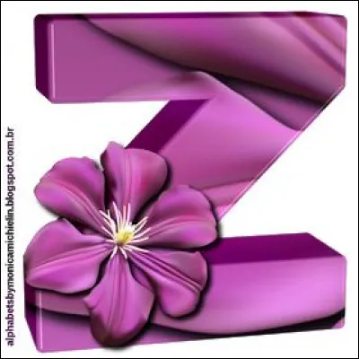 De quelle esp&egrave;ce est l'animal nomm&eacute; "zorille" ?