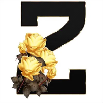 Quel était le prénom du jazzman Zappa ?