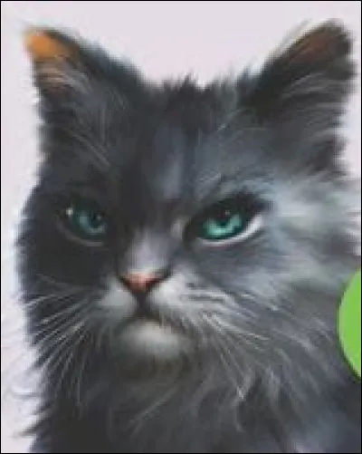 Et quel est son nom de guerrière ?