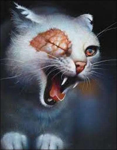 Pourquoi a-t-elle nommé Nuage Blanc "Sans Visage" ?