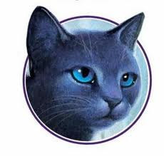 Quiz Erin hunter