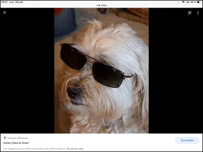 Ton jouet préféré est :