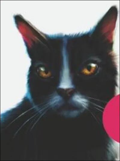 Qui sont ses apprentis ?