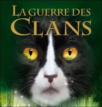 Quels sont ses surnoms ?