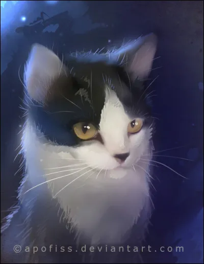 Quel est son nom de chaton ?