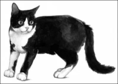 Le jour de son baptême d'apprenti, il suivra une initiation de :