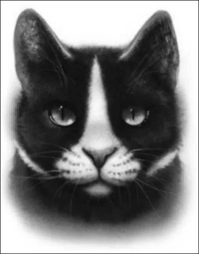 Et quel sera son nom d'apprenti ?