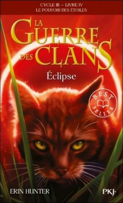 Qui est sur la couverture du livre "Éclipse" ?