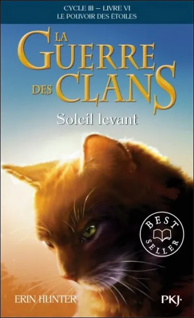 Quel chat est sur cette couverture ?