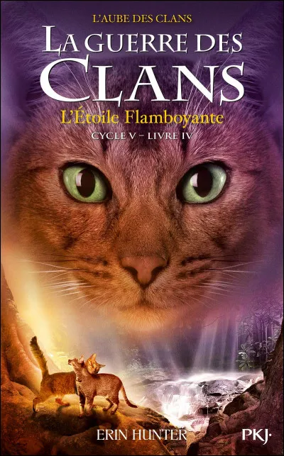 Qui sont les chats sur "L'Étoile flamboyante" ?